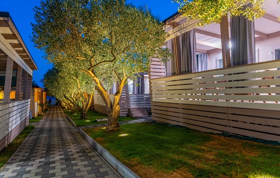 Cempresino (Exclusive)