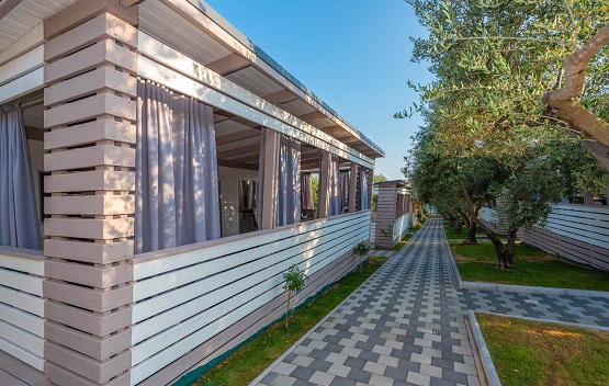 Coratina (Exclusive)